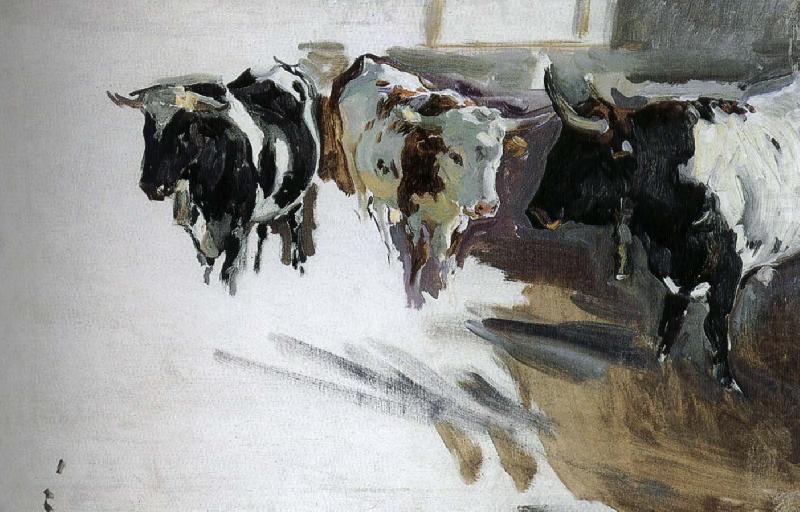 Bull Project, Joaquin Sorolla
